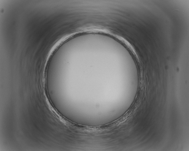 X0000087581191200704271037