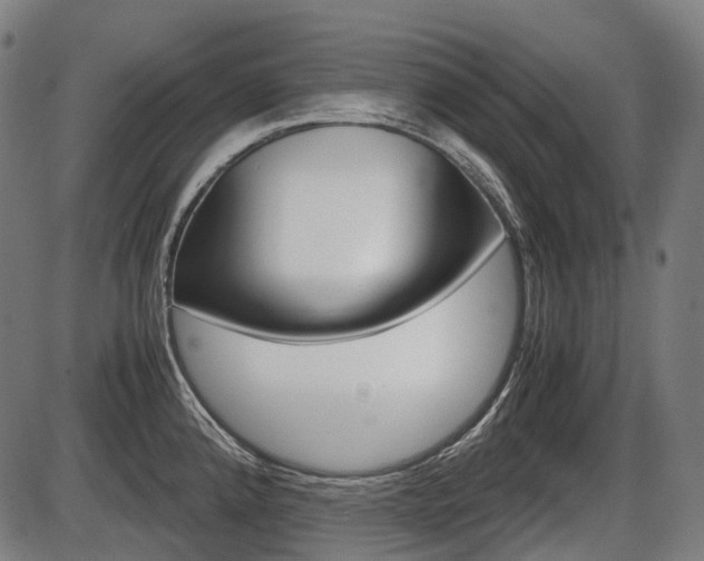 X0000087581192200704271037