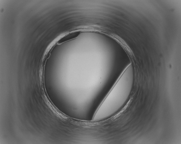 X0000087581196200704271037