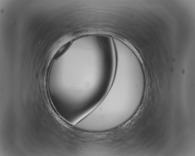 X0000087581197200704271037