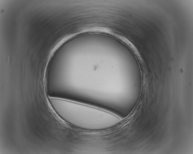 X0000087581199200704271037
