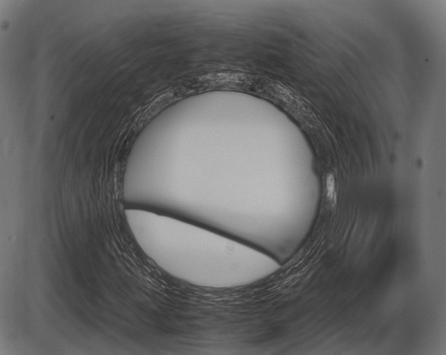 X0000087581203200704271036