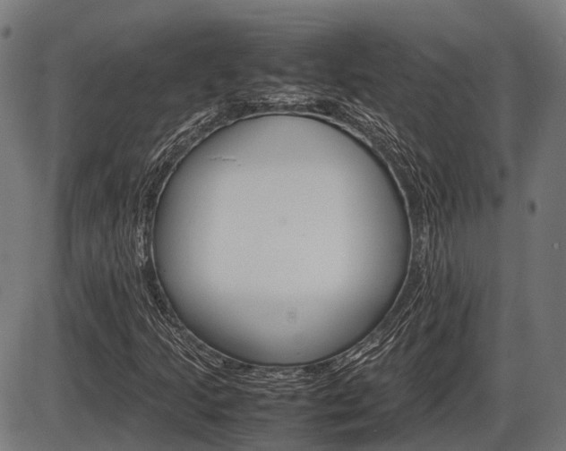 X0000087581205200704271036