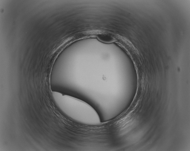 X0000087581209200704271036