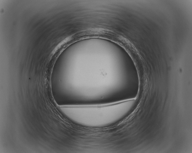 X0000087581210200704271036