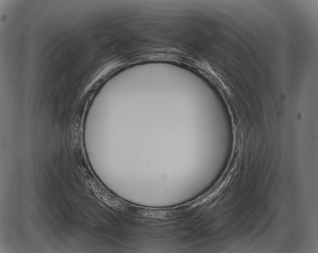 X0000087581211200704271036