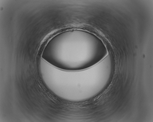 X0000087581214200704271036