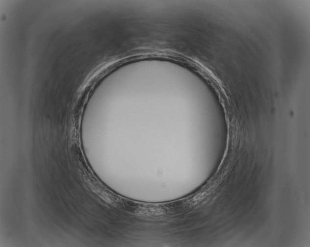 X0000087581215200704271036