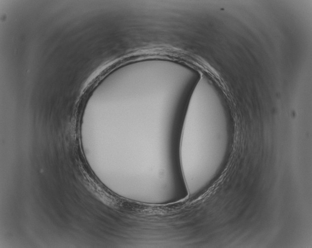 X0000087581216200704271037