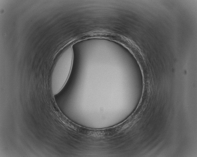 X0000087581217200704271037