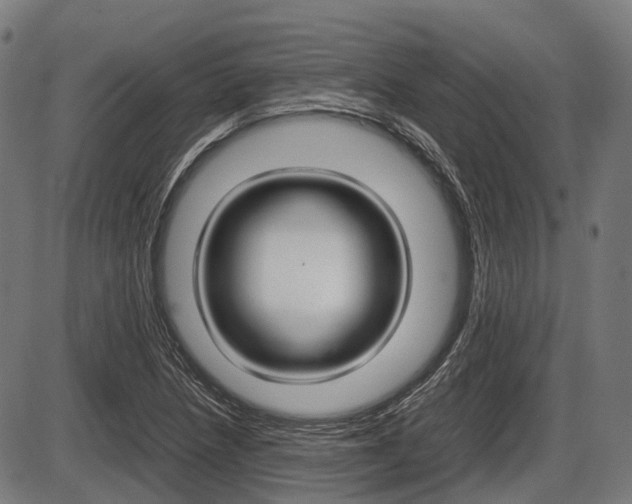 X0000087581218200704271037