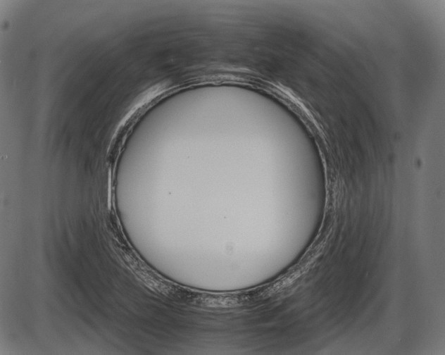 X0000087581219200704271037
