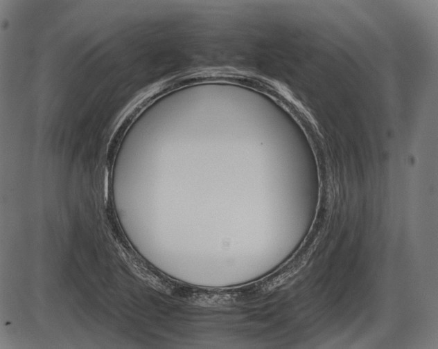 X0000087581221200704271037