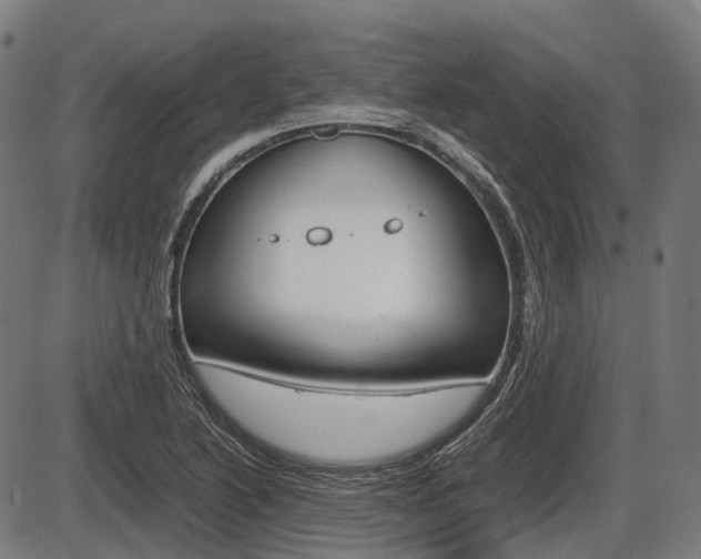 X0000087581222200704271037