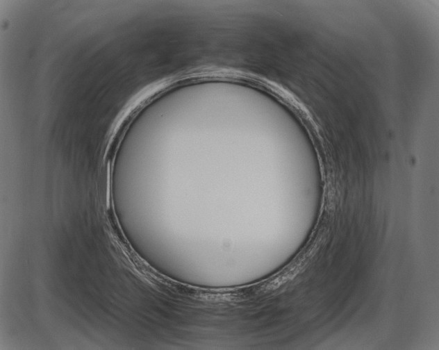 X0000087581223200704271037