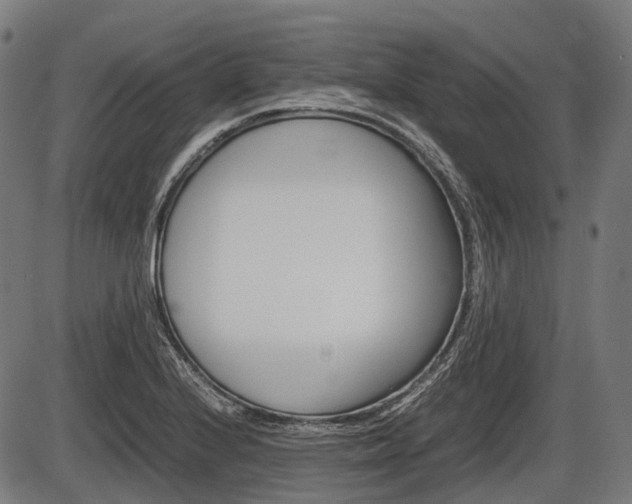 X0000087581224200704271037
