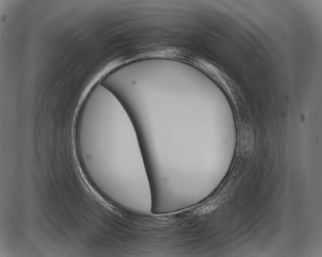X0000087581235200704271037
