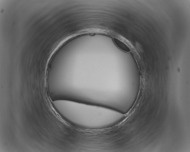 X0000087581236200704271037