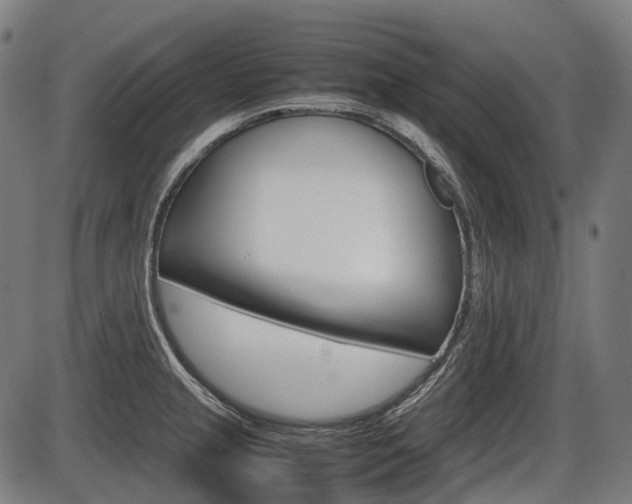 X0000087581237200704271037