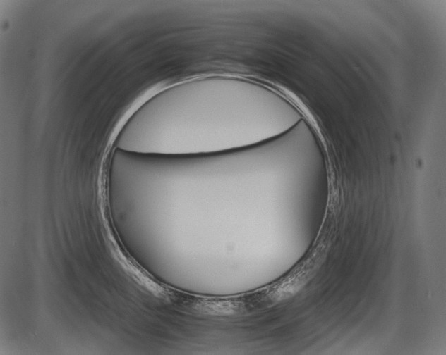 X0000087581243200704271037