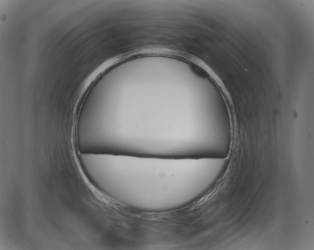 X0000087581245200704271037