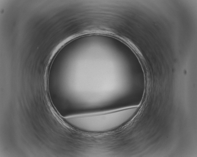 X0000087581246200704271037