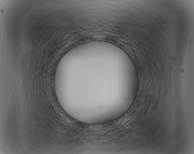X0000087581249200704271036