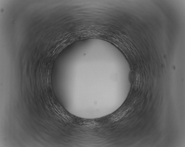 X0000087581250200704271036