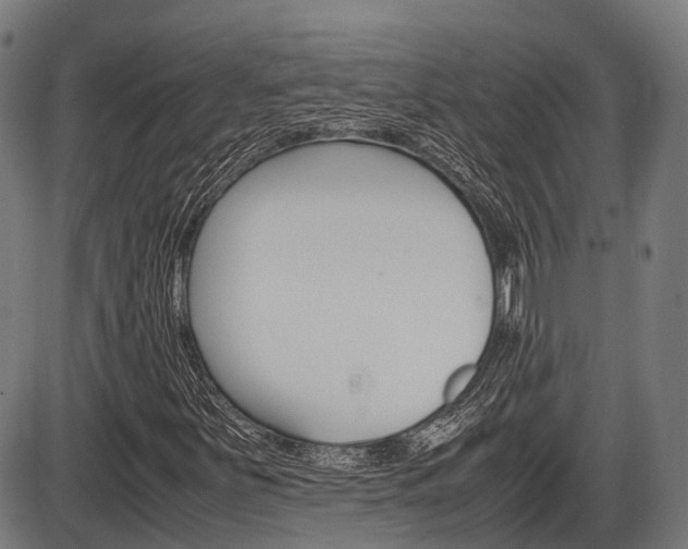 X0000087581251200704271036
