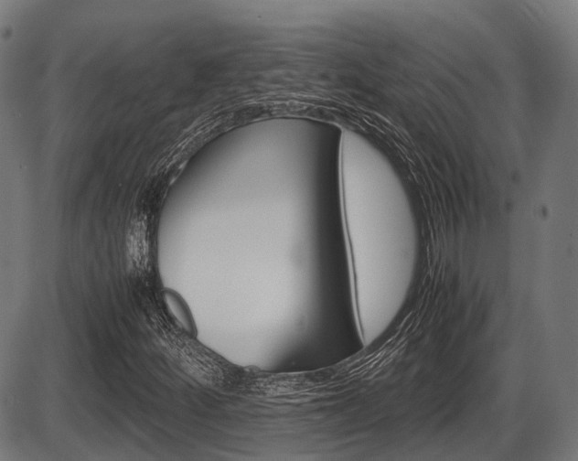X0000087581252200704271036
