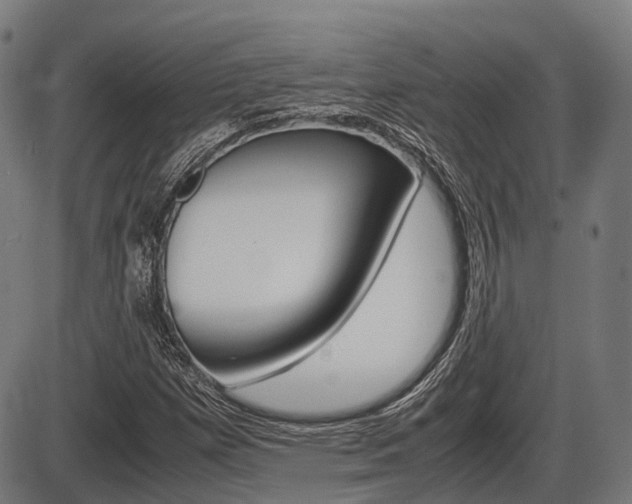 X0000087581257200704271036