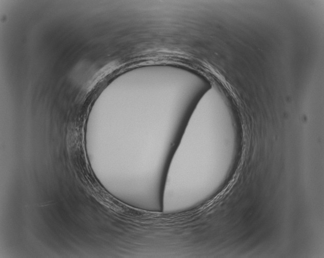 X0000087581259200704271036
