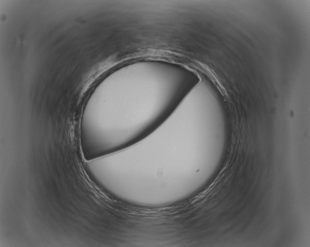 X0000087581260200704271036