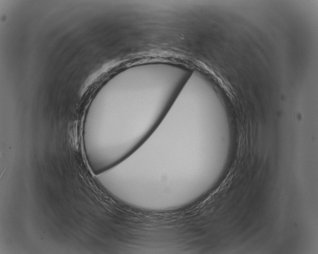 X0000087581262200704271036