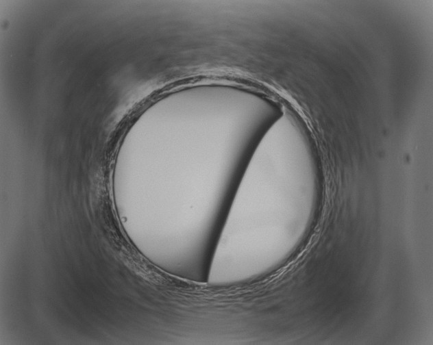 X0000087581263200704271036