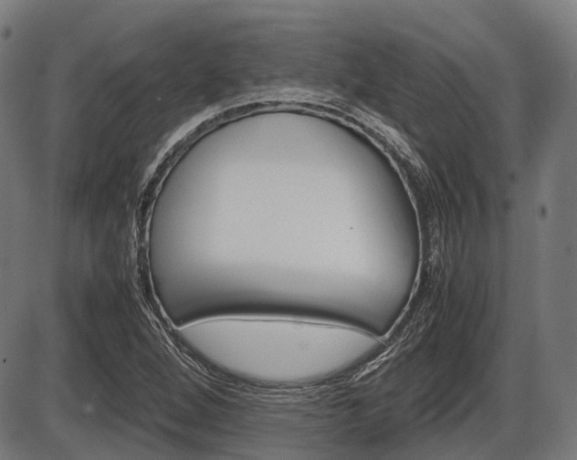 X0000087581264200704271036