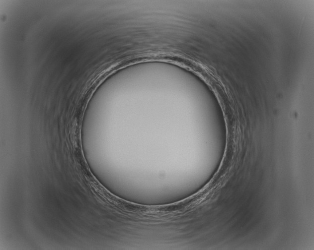 X0000087581265200704271036