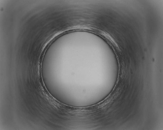 X0000087581268200704271036