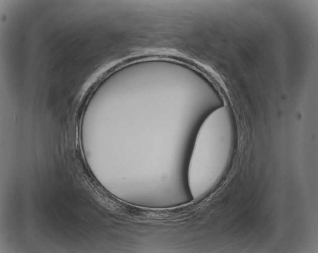 X0000087581271200704271036