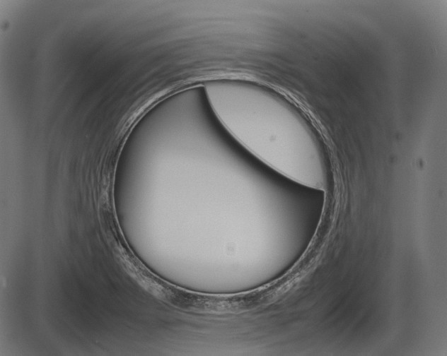 X0000087581273200704271036