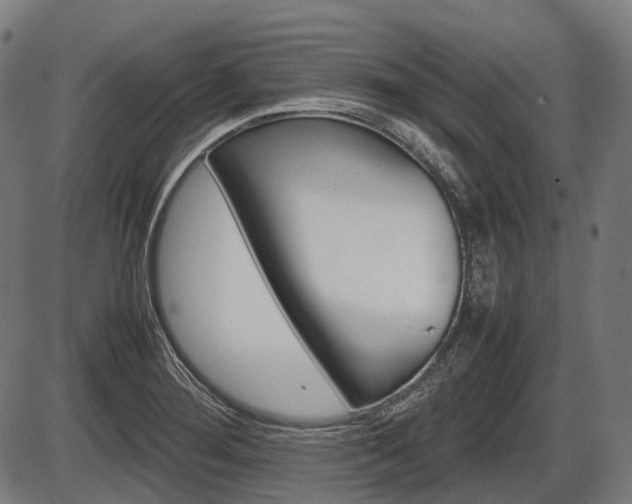 X0000087581276200704271036