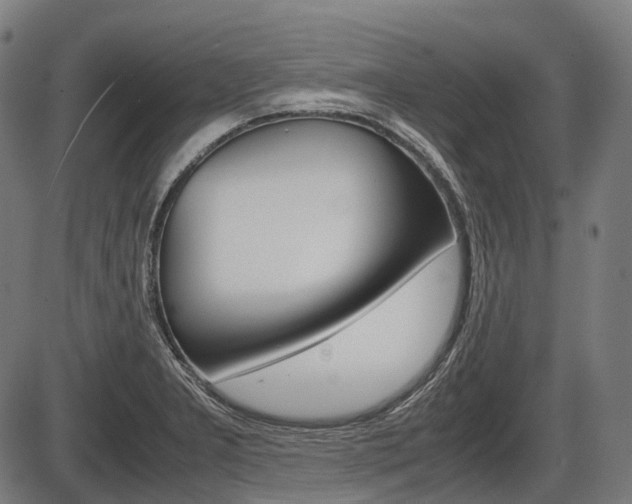 X0000087581277200704271036