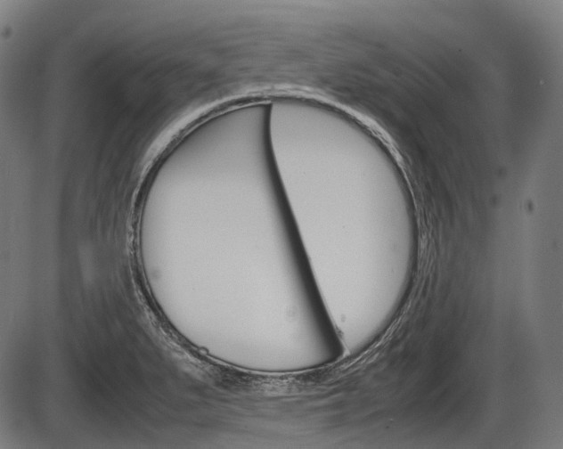 X0000087581279200704271036