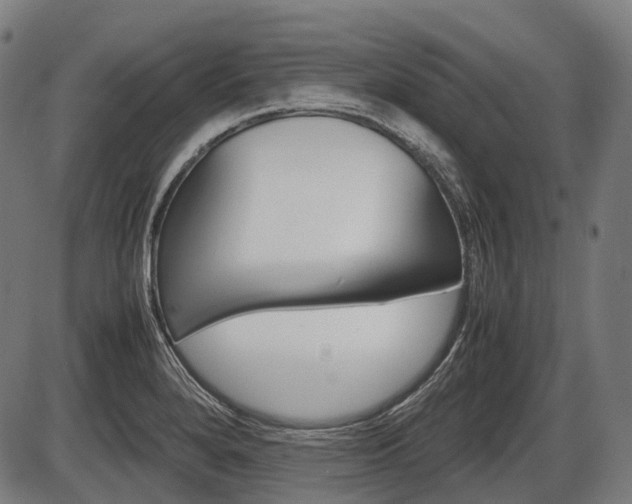 X0000087581280200704271036
