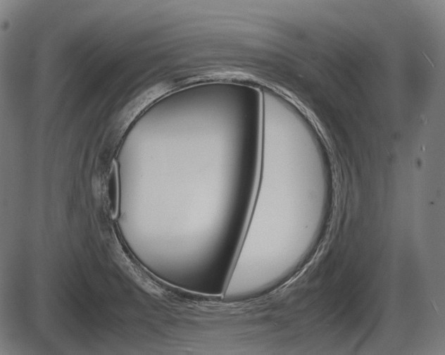 X0000087581281200704271036