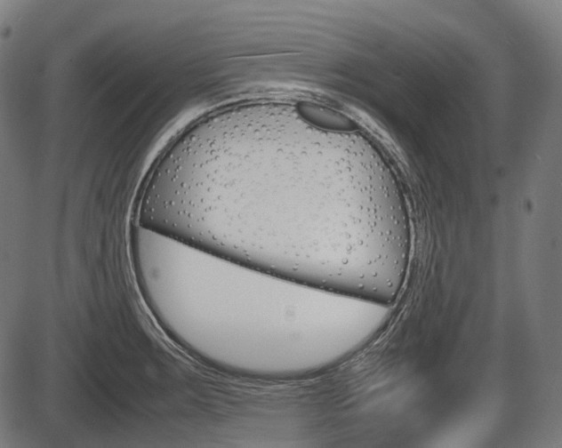 X0000087581283200704271036