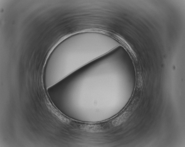 X0000087581284200704271036
