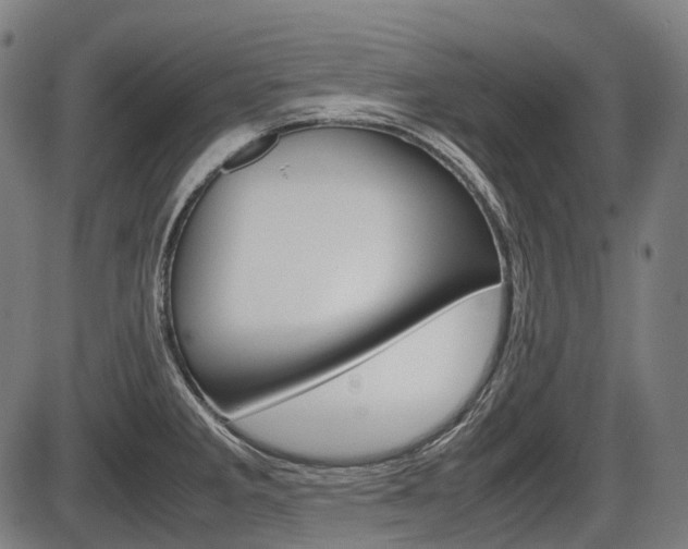 X0000087581285200704271036