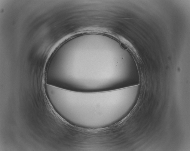 X0000087581288200704271036