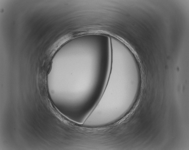 X0000087581289200704271036